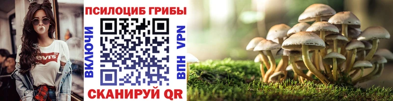 Галлюциногенные грибы Psilocybine cubensis Морозовск
