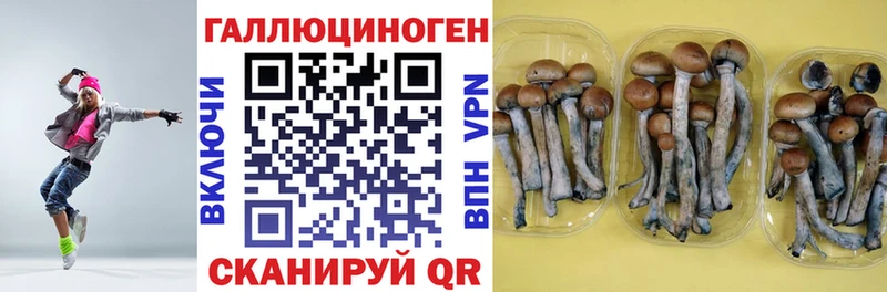 Галлюциногенные грибы мицелий  Морозовск 